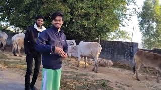 अंबिकापुर का छोटा सा गांव / Ambikapur ka chhota sa gaon Morning Vlog Ambikapur