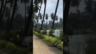 Konaseema | Beautiful village in konaseema | konaseema andhalu | కోనసీమ అందాలు