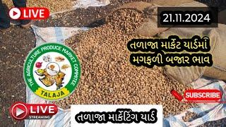 લાઈવ હરાજી મગફળી તળાજા માર્કેટિંગ | મગફળી બજાર ભાવ | 21.11.24 ||