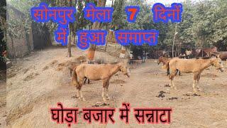 सोनपुर मेला के घोड़ा बाजार हुआ समाप्त 7 दिनों में || sonpur mela 2024