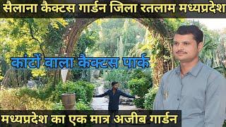 कैक्टस गार्डन सैलाना जिला रतलाम | cactus garden sailana madhya pradesh | Raja Vikram Singh