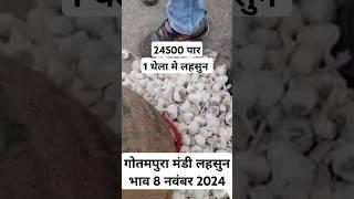 गोतमपुरा मंडी लहसुन भाव 8 नवंबर 2024