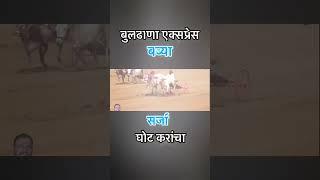 बुलढाणा एक्सप्रेस बब्या & घोटचा सर्जा गट पास|bailgada sharyat live