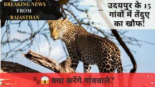 Rajasthan Big News: उदयपुर के 15 गांवों में आदमखोर तेंदुए का आतंक! 🐆