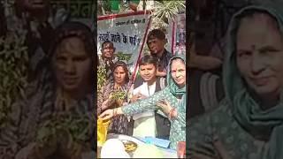 बुलंदशहर में तुलसी पूजन Tulsi pujan in Bulandshahr