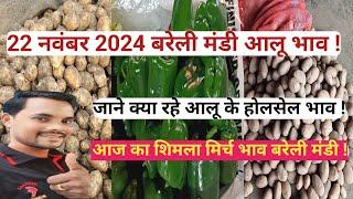 22 नवंबर 2024 बरेली मंडी आलू भाव || Potato Wholesale Price