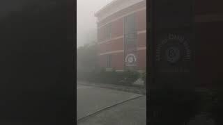 Fog in north campus new delhi