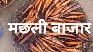 Fish market🐠🐟🐠🐟मछली मार्केट..... Jhansi मऊरानीपुर