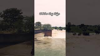 #నాగార్జున సాగర్ ఏడుమ కాలువతెగింది#Telangana #paleru#khammam#floods #2024shorts #latest news