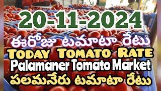 పలమనేరు 🍅🍅🍅టమాటో మార్కెట్ ధరలు 20-11-2024 ||ఈ రోజు టమోటా ధర Palamaner Market||ckgowthamvlogs