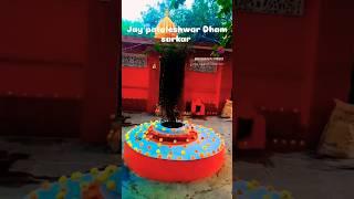 Jay ho pataleshwar dham budhrakh chhatarpur mp 🔥