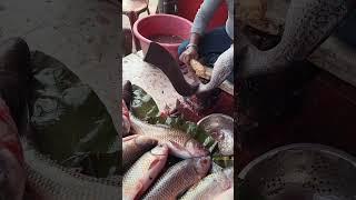 Fish market in Bermo Bokaro