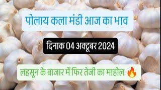 दिनाक 04 अक्टूबर 2024 पोलाय कला मंडी आज का लहसुन का भाव तेजी या मंदी 🔥🔥