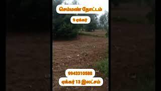 மதுரை மாவட்டம் பேரையூர் அருகே செம்மண் தோட்டம் விற்பனைக்கு 9943310588