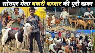 सोनपुर मेला में खूब हो रहा बकरी का बिक्री || Sonpur mela 2024 Bakri Bazar | 🤩 goat market