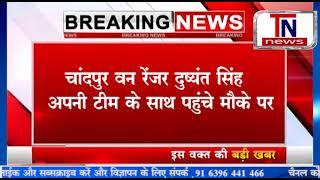 #बिजनौर के चांदपुर में वन विभाग द्वारा लगाए गए पिंजरे में कैद हुआ गुलदार।