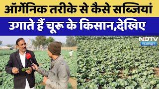 Churu News : Organic तरीके से कैसे सब्जियां  उगाते हैं चूरू के किसान,देखिए | Latest | Rajasthan