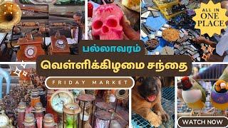 🐦🦜🐕‍🦺பல்லாவரம் வெள்ளிக்கிழமை சந்தை Pallavaram Friday market