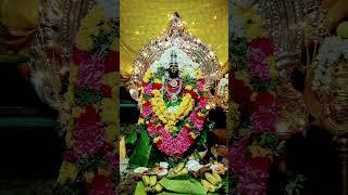 மார்கழி 13 அலங்காரம் 🙏💯🔱 பாரதிநகர் . கோவில்பட்டி