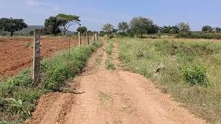 4acre 1bour Gundlupet to land 12km thar road to land 300mtr  full fencing intarast persion9731750701