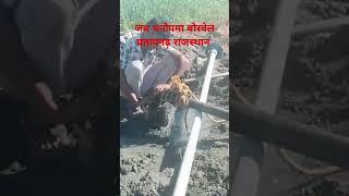 जय धनोपमा बोरवेल प्रतापगढ़ राजस्थान | Borwell paipe kaise dalle | Borwell me pani dal diya