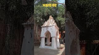 एक मात्र शबरी मन्दिर: शिवरीनारायण