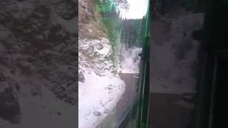 Shimla to Rampur || Snowfall 🌨️