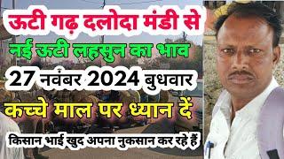 ऊटी गढ़ दलोदा मंडी से आज का 27 नवंबर 2024 बुधवार ||ooty Garli