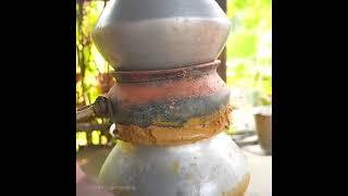 Homemade making mahua wine | Desi style