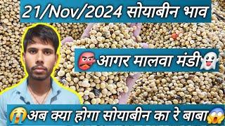 सोयाबीन भाव आगर मालवा मंडी 21/11/24 l Today soyabin bhav l#garlic l