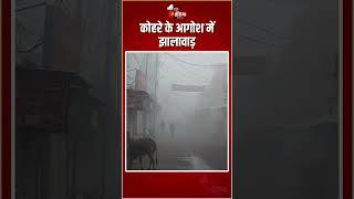 Rajasthan Weather Update: कोहरे के आगोश में झालावाड़ | Frost | Fog In Jhalawar | Winter Season