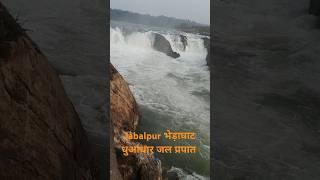 Jabalpur भेड़ाघाट ❤️ मां नर्मदा 🌊 धुआंधार जल प्रपात most#viewed#shorts# video 📸 song thee