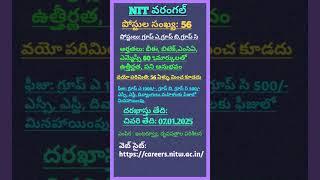 NIT వరంగల్ లో జాబ్స్