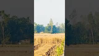 শীতের আগমনী বার্তা