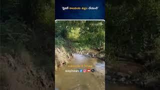 'మైనర్ కాలువలను శుభ్రం చేయండి' | Guntur | Andhra Pradesh | Way2news Telugu