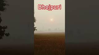 पिया सिवान से | Bhojpuri Song | राजा देहिया प डालद रजाई | Samar Singh |