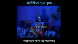 কালিশীৰে নাচে কৃষ্ণ,শ্ৰীশ্ৰী কৃষ্ণৰ শিশুলীলা🙏🥰 কেন্দ্ৰ,খনামুখ,শিৱসাগৰ