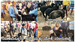 Ranebennur sheep and goats market update Every Sunday morning bazar Karnataka India