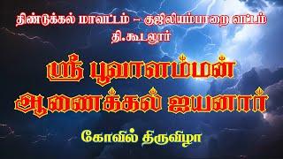 திண்டுக்கல் மாவட்டம்/ தி.கூடலூர்/ ஸ்ரீ பூவாளம்மன் - ஆணைக்கல் ஐயனார் கோவில் திருவிழா..