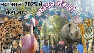 कानन पेंडारी चिड़ियाघर बिलासपुर || 2025 Tour budget