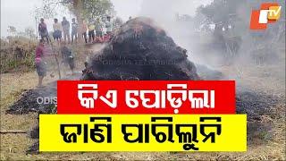 Miscreants Set Crops on Fire in Bolangir, Farmers Express Concern