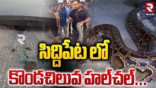 సిద్దిపేట లో కొండచిలువ హల్‌చల్‌...| Python panic in Siddipet District | RTV