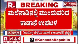 Wild Elephant Attack In Shivamogga : ಮಲೆನಾಡಿನಲ್ಲಿ ಮುಂದುವರಿದ ಕಾಡಾನೆ ಉಪಟಳ