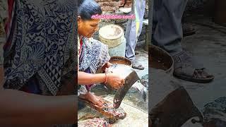 Anakapalli Fish 🐠 🐟 Market