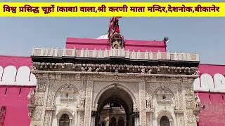 विश्व प्रसिद्ध राजस्थान के बीकानेर जिले के देशनोक नगर स्थित श्रीकरणी माताजी के भव्य मंदिर के दर्शन।