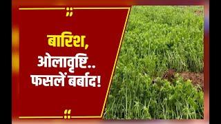 Mandsaur में बारिश के साथ गिरे ओले,खेतों में भरा पानी,किसान परेशान,जिम्मेदार अधिकारी नहीं ले रहे सुध