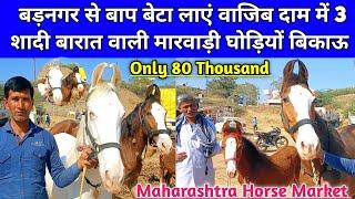 बड़नगर से बाप बेटा लाएं वाजिब दाम में 3 शादी बारात वाली घोड़ी बिकाऊ। sarangkheda horse fair 2024।