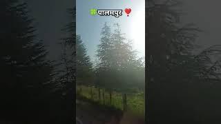 पालमपुर हिमाचल प्रदेश ❣️