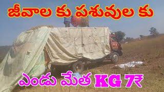 కంది సోయా పొట్టు 7780367058 9676803177 dry fodder Buffalos  cows