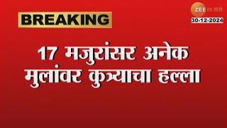 Wardha Stray Dog Attack |वर्ध्यात १७ मजुरांसर अनेक मुलांवर कुत्र्याचा हल्ला,जखमींवर रुग्णालयात उपचार